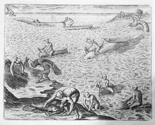 Méthode de chasse à la baleine des Indiens d